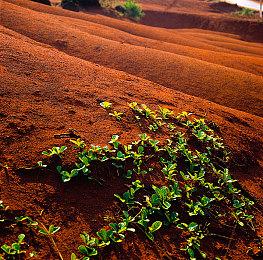 《寻找伪人》更新发布 特别好评恐怖冒险新游